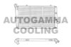 AUTOGAMMA 103065 Radiator, engine cooling